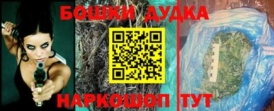 индика Гусиноозёрск