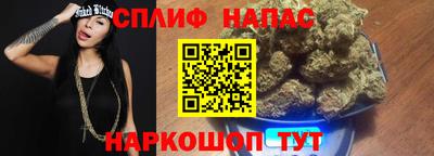 стаф Гусев